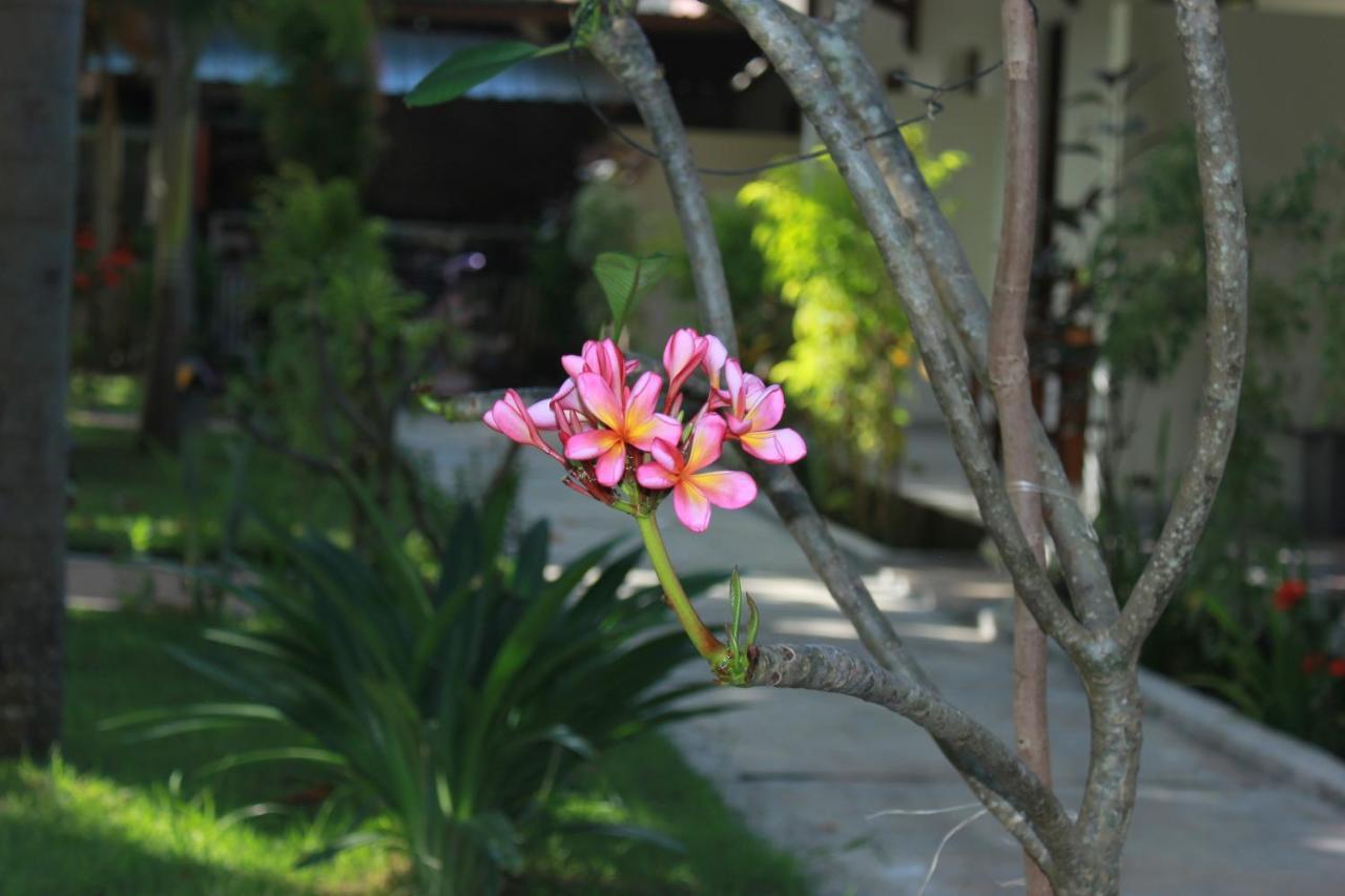 Herry Homestay Kuta  Exteriör bild